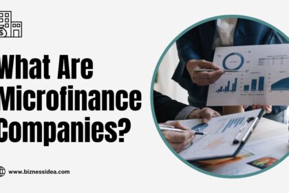 Microfinance Companies