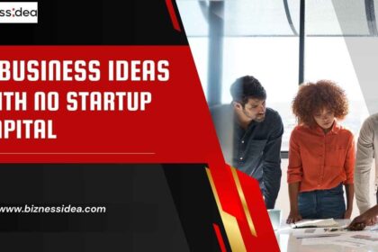 Business Ideas With no Startup Capital