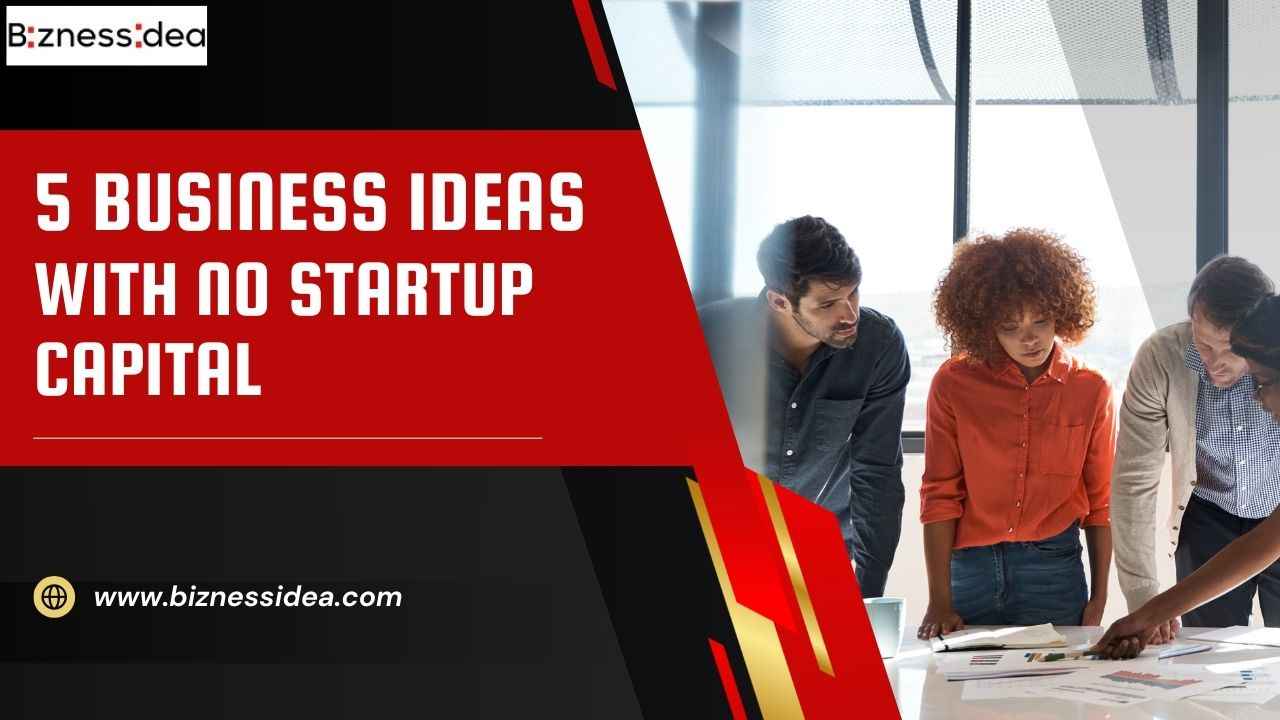 Business Ideas With no Startup Capital