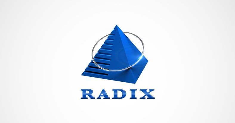 Radixweb company for application development and maintenance Radixweb