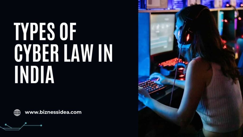 Types of Cyber Law in India for businesses